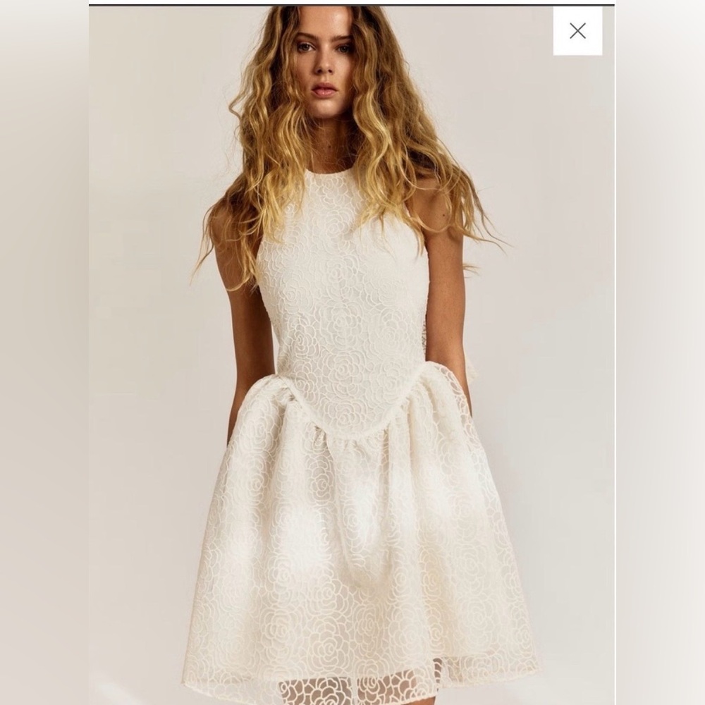 H&M Ivory Camellia Brocade Whitework Lace Dress